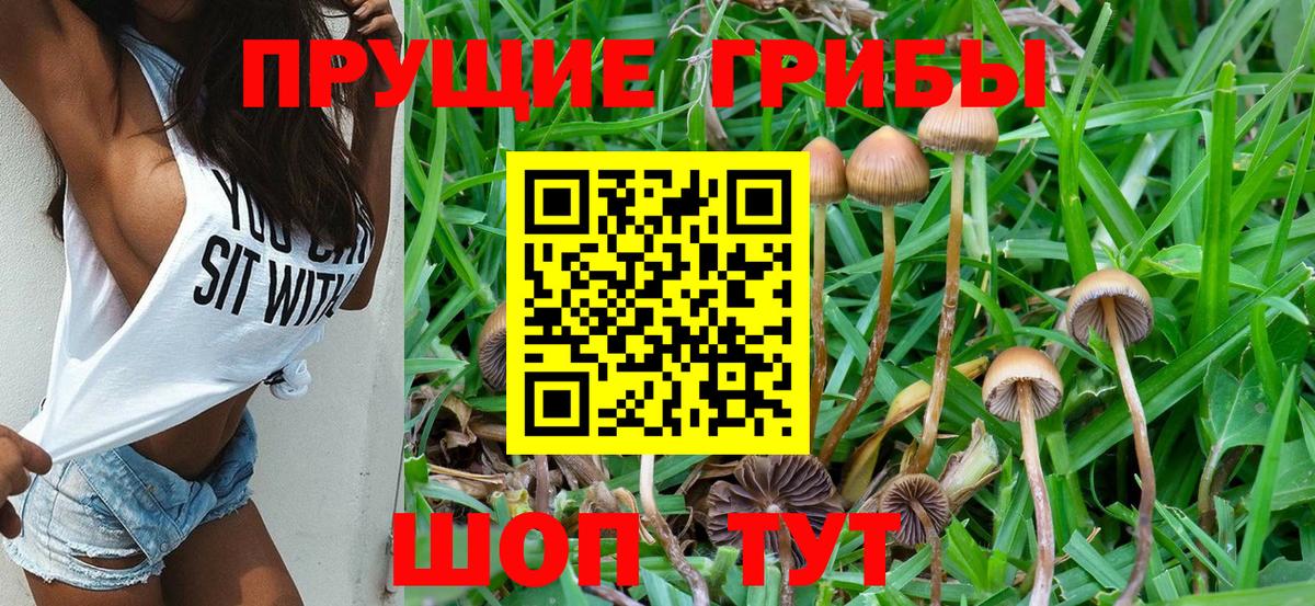 Галлюциногенные грибы Psilocybine cubensis  Вход с VPN  Галлюциногенные грибы мицелий  Норильск 