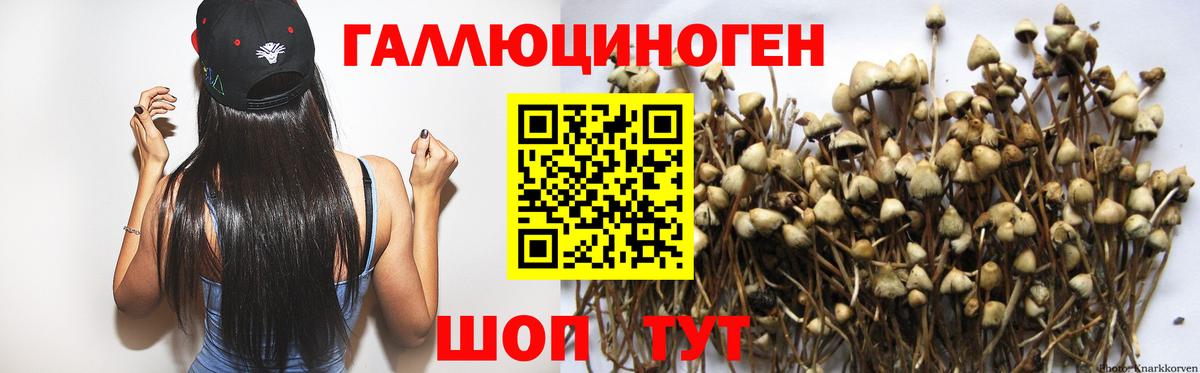 Галлюциногенные грибы Magic Shrooms Норильск